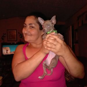 Meet your Posher, Natasha